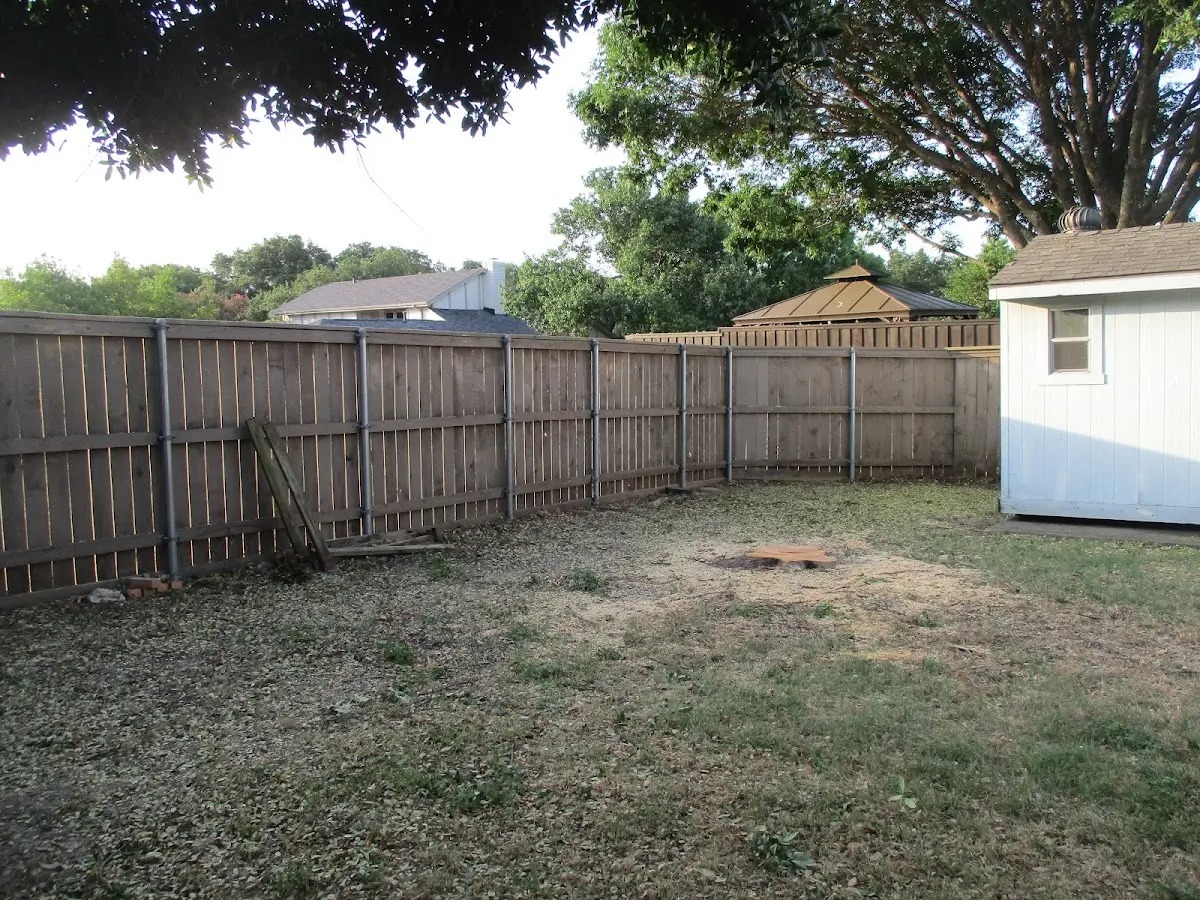 Cleared yard after professional tree removal in Syosset