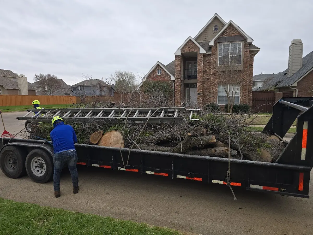 Expert Tree Pest Control with proper safety equipment in Syosset